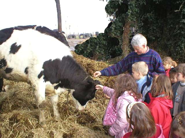 Enfant à la ferme caressant une vache