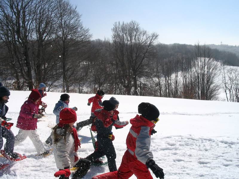 Groupe d'enfants courant dans le neige avec des raquettes en colo