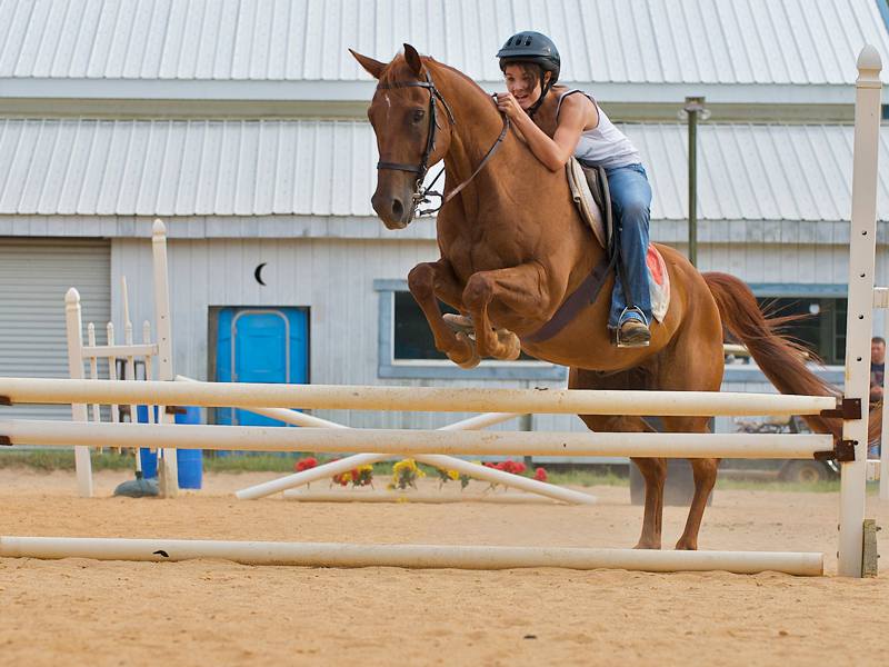 Enfant à cheval pratiquant le saut de haie