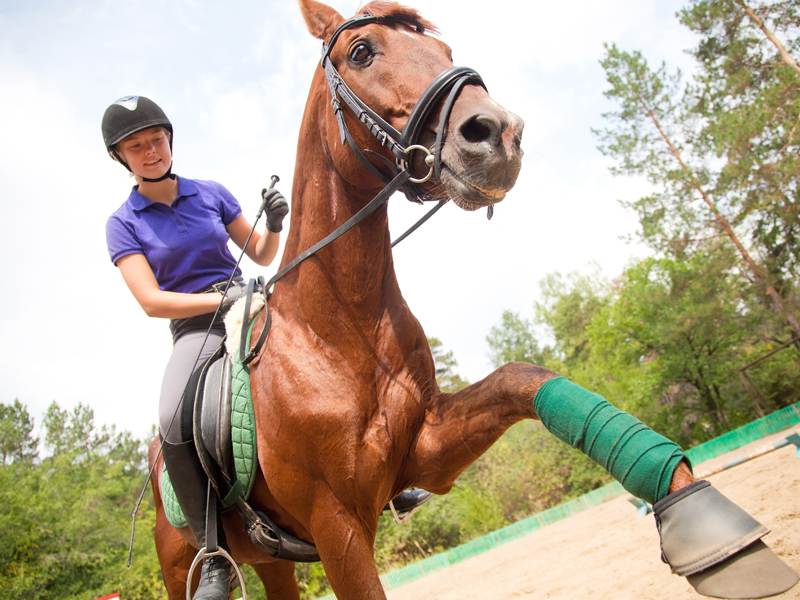 Adolescente à cheval en colo