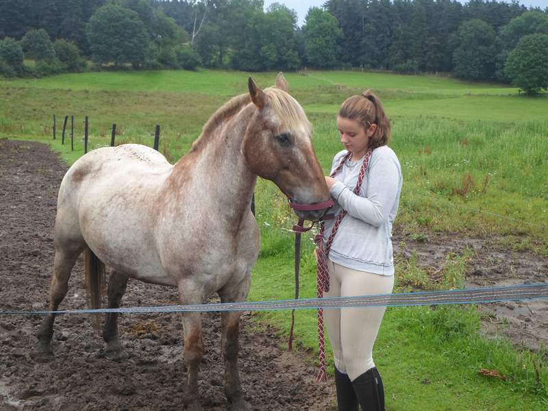 Adolescente en colo avec son cheval 