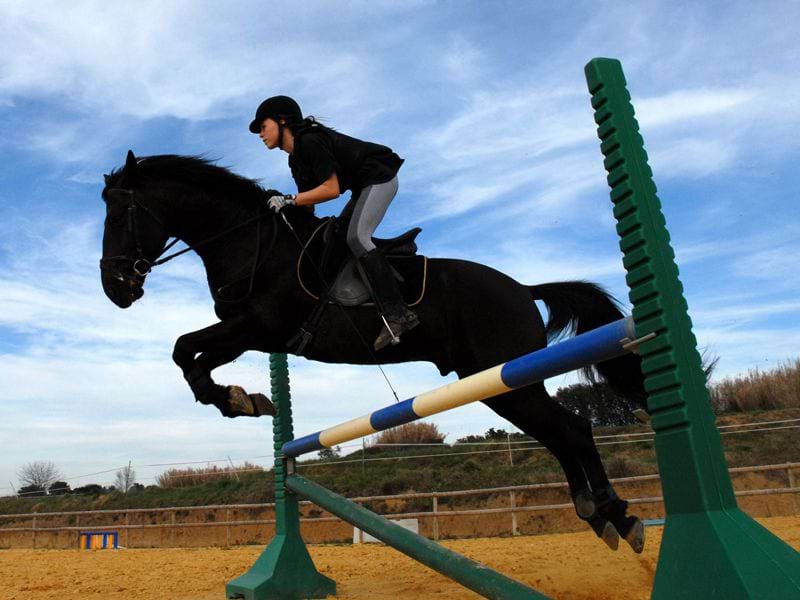 Adolescente pratiquant le saut d'obstacle à cheval