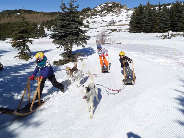 Groupe d'enfants en colonie de vacances sur les pistes en balade en chien de traineaux