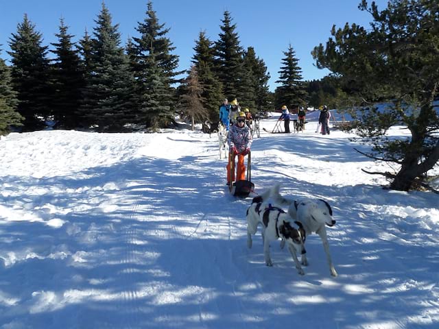 Groupe d'enfants en balade en traineaux à la montagne en colonie de vacances