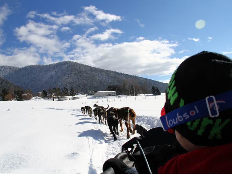 Randonnée en traîneaux à chiens en colo