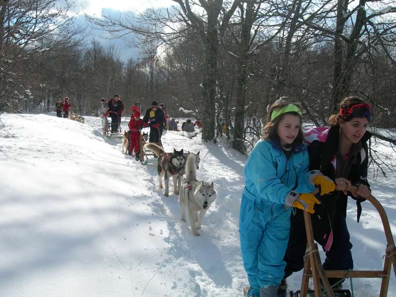 Groupe d'enfants en randonnée traîneaux avec des chiens