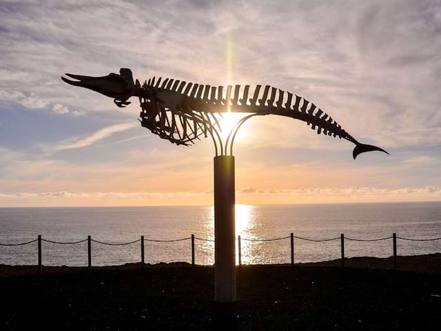 Squelette de la baleine au musée du sel à Fuerteventura en colonie de vacances