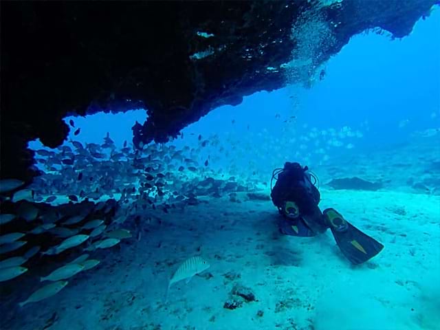 Plongée sous marine en colonie de vacances aux canaries