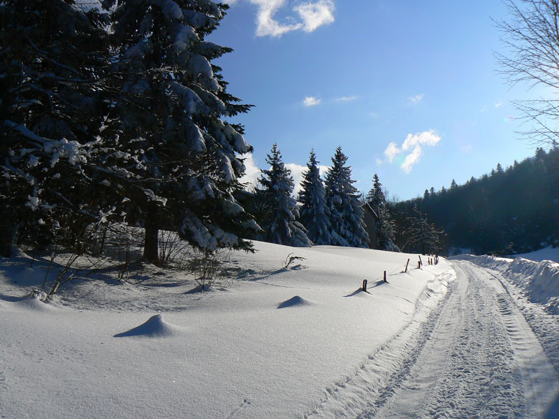vue sur les pistes de ski de fond en colonie de vacances