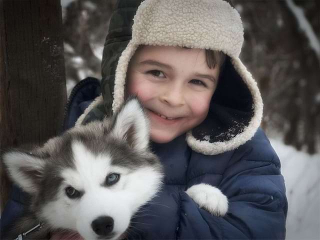 Enfant avec un chien de traineaux en colonie de vacances