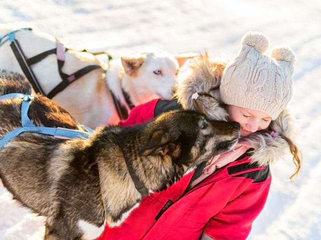 Petites fille avec des chiens de traîneaux