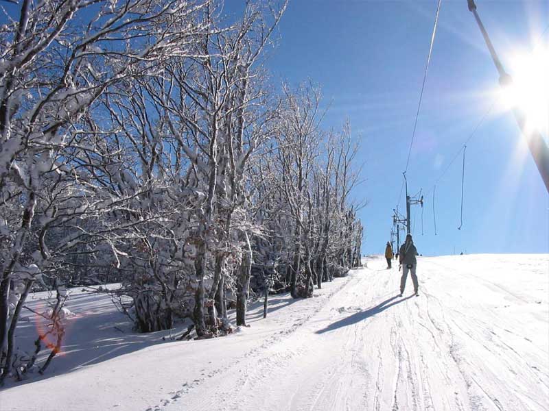 Enfants sur les pistes de colonie de vacances à la montagne vacances de février