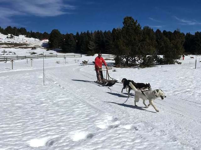 Moniteur de colo faisant du traineau à chiens cet hiver