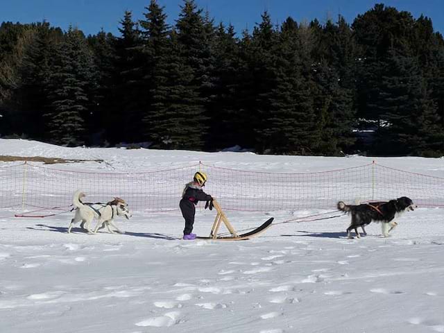 Enfants de 10 ans en train de faire une balade à chien de traineaux cet hiver en colo