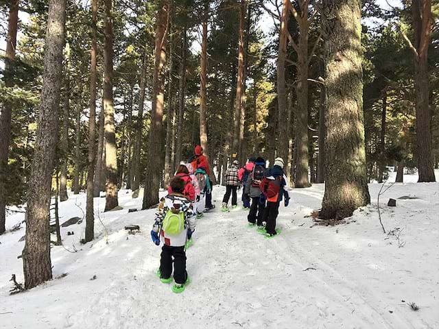 Enfants en balade à raquettes à neige dans les bois en colonie de vacances cet hiver