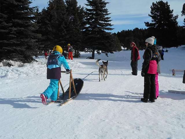 Enfants en colonie de vacances en balade en chien de traineau cet hiver