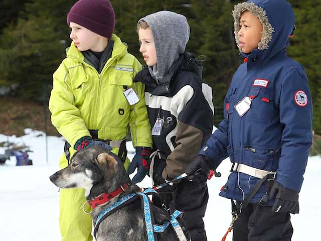 Trois garçons avec leur chien de traineau en colonie de vacances cet hiver