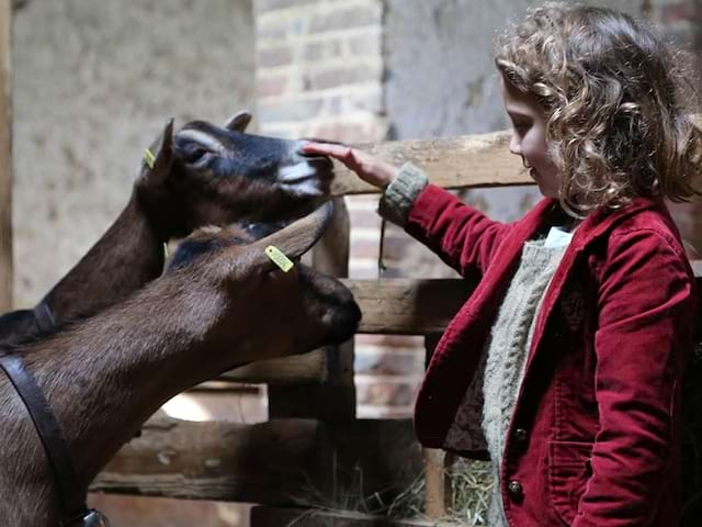 Fillette en train de caresser des animaux de la ferme en colo cet hiver