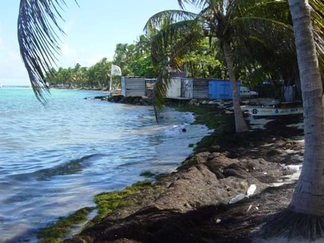 Vue sur le bord de plage proche d'un centre de colo de vacances en Guadeloupe