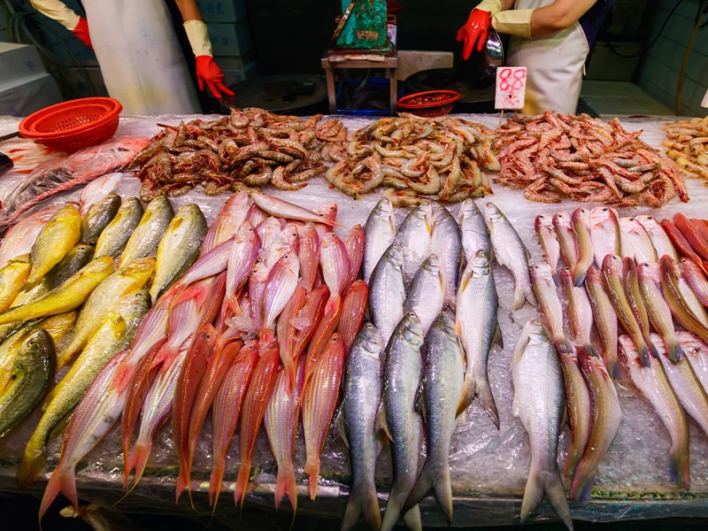 Vue sur un marché typique de poissons de différentes couleurs lors d'une colonie de vacances à Malte