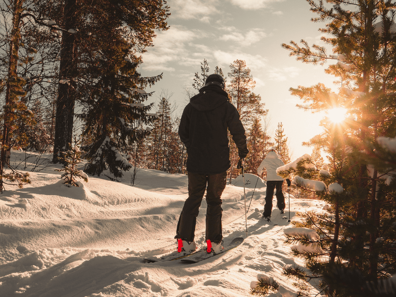 Jeunes qui traversent les bois en ski durant leur colo Ski sensations dans le Vars