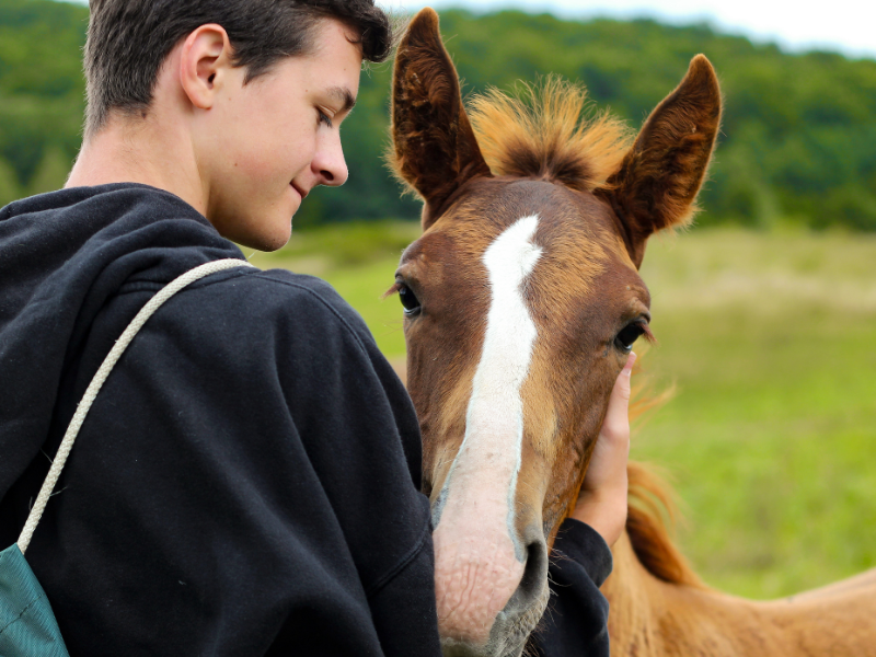 Jeune garçon en colo de vacances Equitation à Retournac cet hiver pour les 12-13 ans