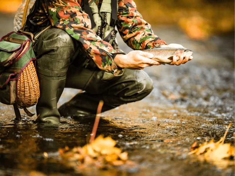 Technique de pêche au Canada
