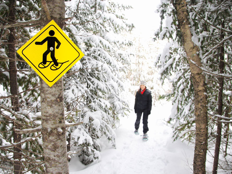 Rando en raquettes en colo de vacances au Quebec cet hiver