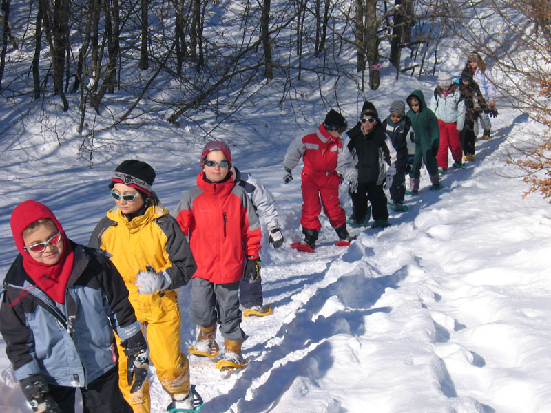 Activité raquettes en colo à Vassieux