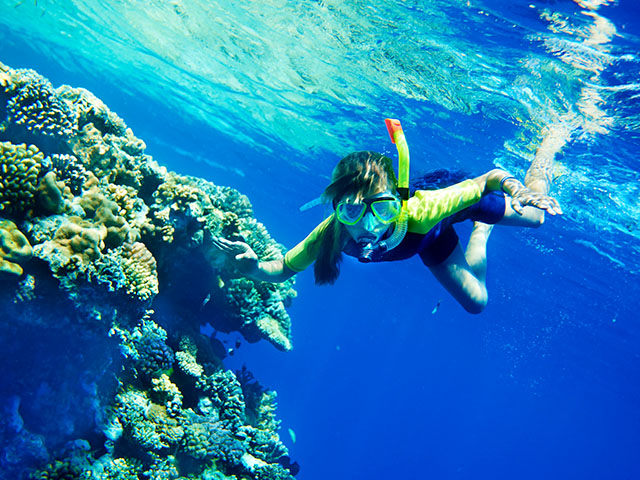 snorkeling colonie de vacances tenerife hiver