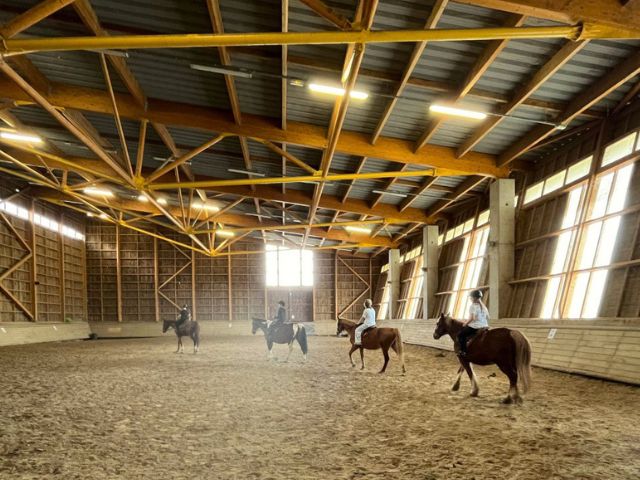 Séjour équitation cet hiver en colonie de vacance