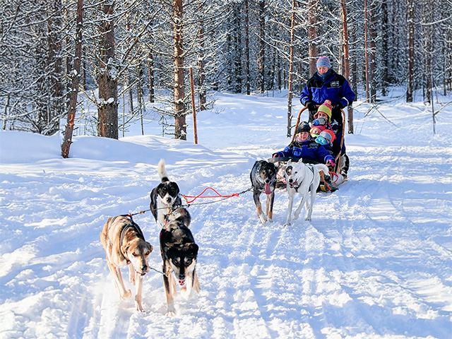 balade en chien de traineau en colonie de vacances hiver