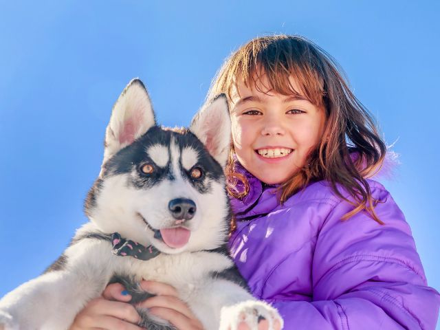 Activité chiens de traineaux en colo cet hiver