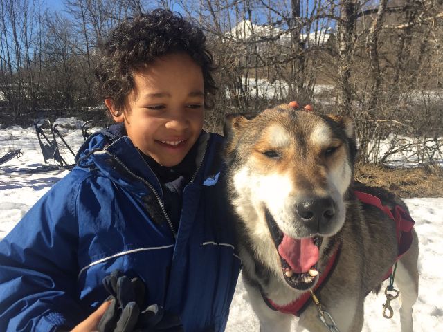 Activité chiens de traineau en colo