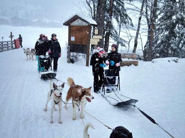 jeunes avec chiens de traineaux sur la neige colonie de vacances haute savoie hiver