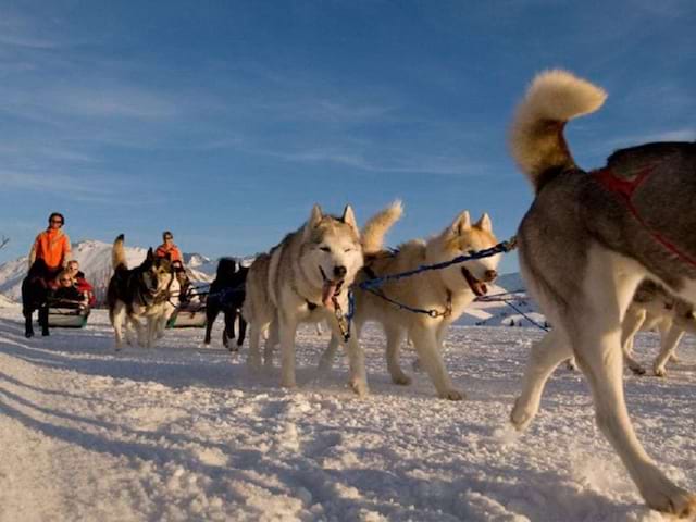 Balade d'enfants en chiens de traîneaux