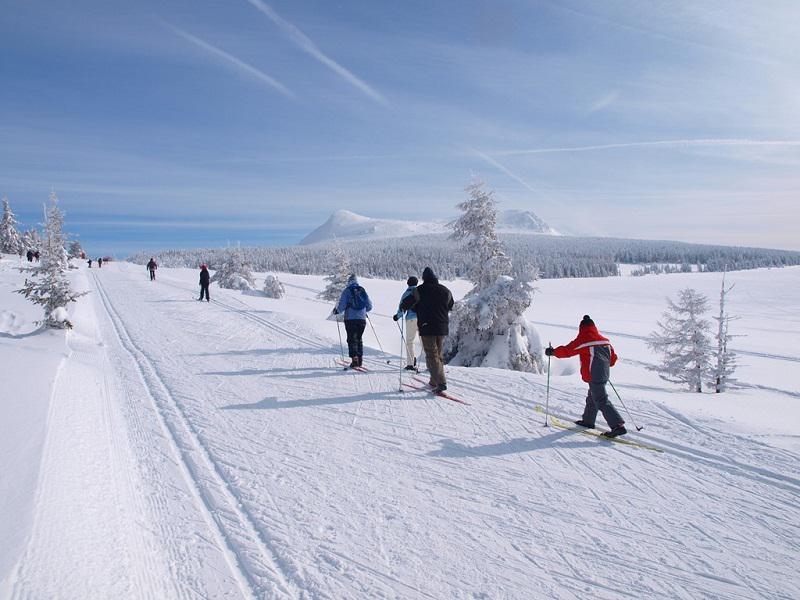 Randonnée en ski de fond 
