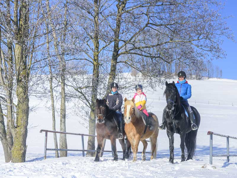 Jeunes pratiquant l'équitation en colo pendant les vacances de Noël