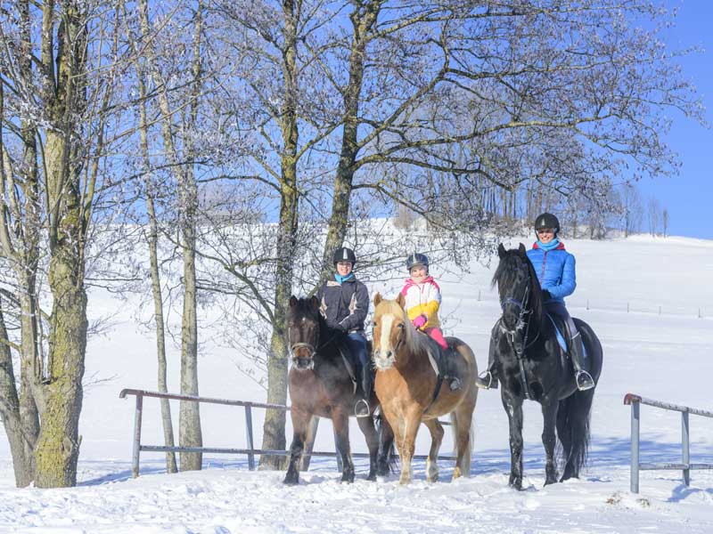 Enfants en balade à cheval cet hiver