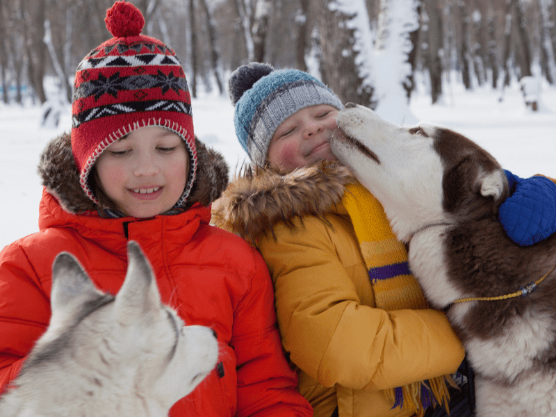 Enfants en colo qui font du chien de traineaux durant la colo Artistes en Herbe de Noel