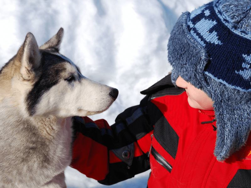 Jeune garçon avec un chien lors de sa colo de vacances J'apprends à skier