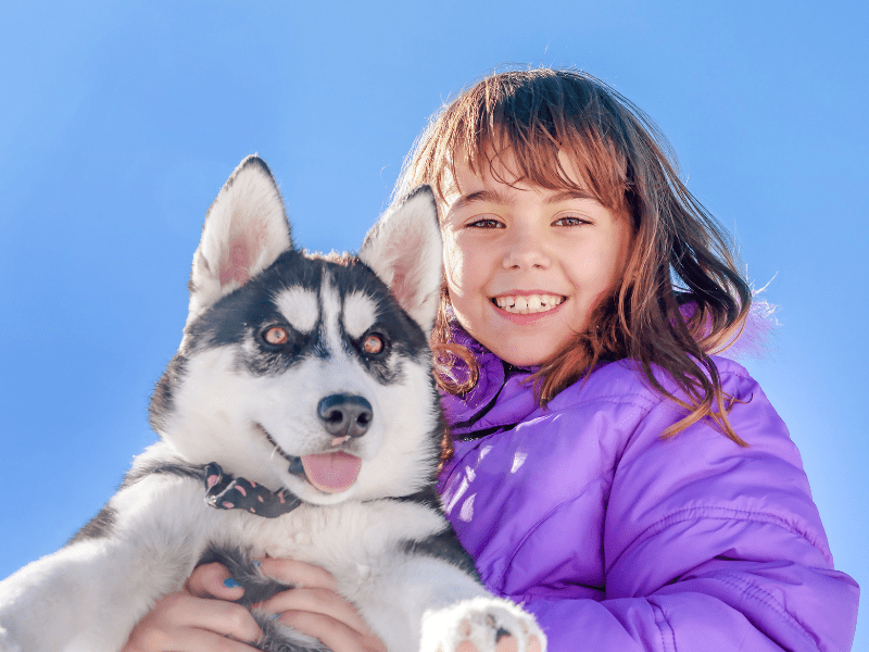 Jeune fille avec un chien lors des balades en chien de traineaux durant Noel