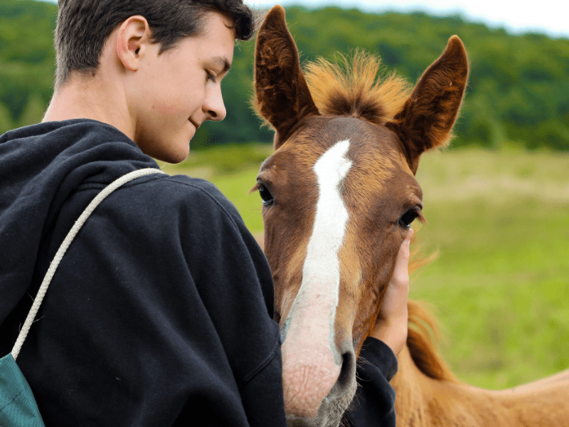 Colo Equitation durant les vacances de Noel pour pré-ados