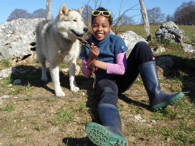 Enfant avec son chien en canirando à la campagne