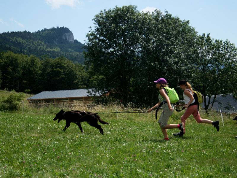 Enfant faisant de la cani rando 