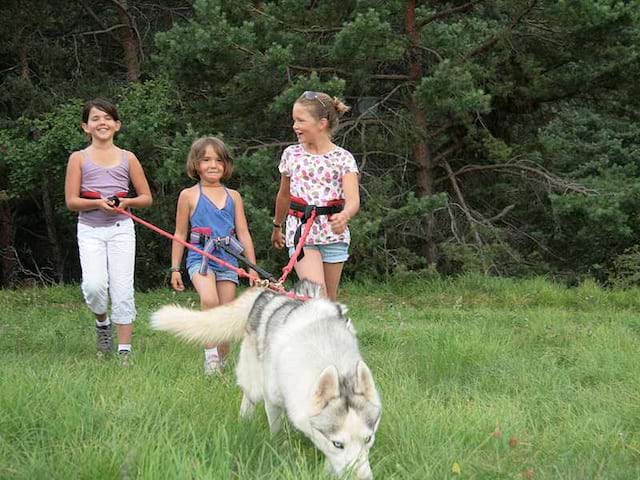 Jeunes filles en balade à cani rando en colonie de vacances