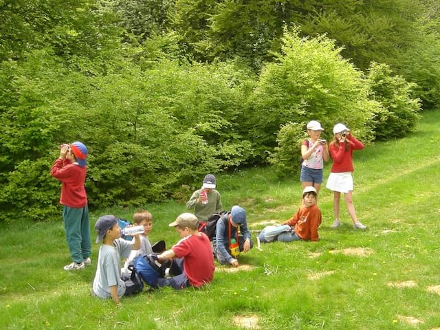 Groupe d'enfants dans l'herbe