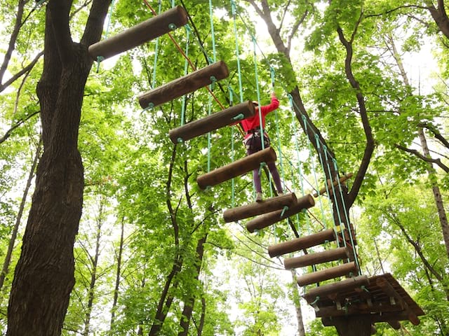 Enfant en train de marcher sur un pont suspendu dans les bois