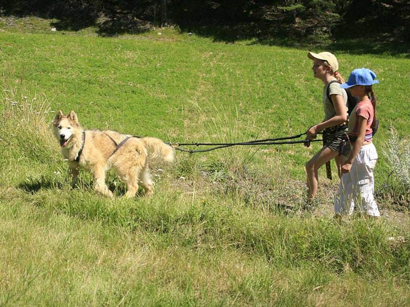 Enfants en balade avec un chien en colo