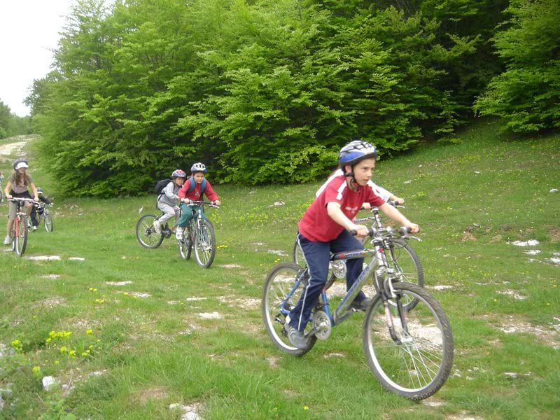 Enfants en balade à vélo en colonie de vacances Djuringa Juniors